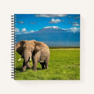 Cuaderno Montañas   Monte Kilimanjaro Tanzania, África
