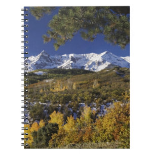 Cuaderno Montañas San Juan y árboles ápicos en color de llu
