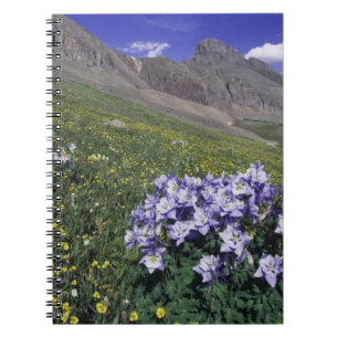 Cuaderno Montañas y flores silvestres en prado alpino, Azul