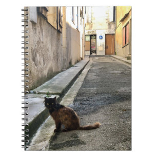 Cuaderno Montauk Salvage Co. / El gato francés