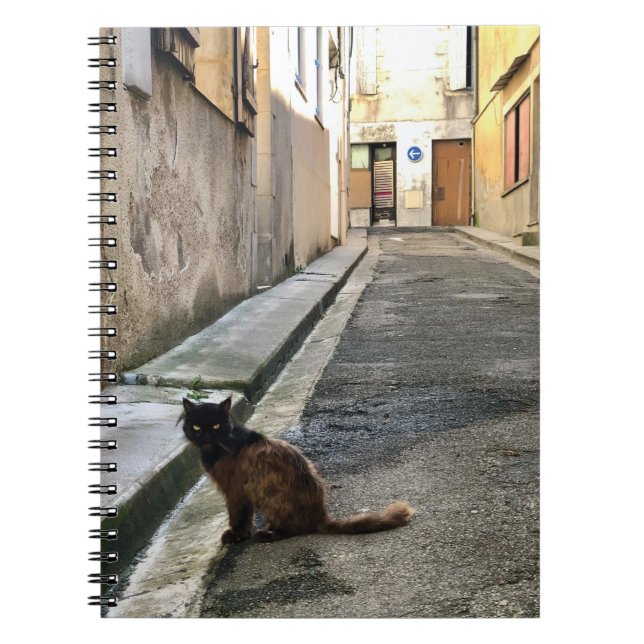 Cuaderno Montauk Salvage Co. / El gato francés (Frente)