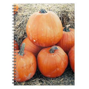 Cuaderno Montón de calabazas vintage