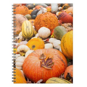 Cuaderno Montón de calabazas y zapallo