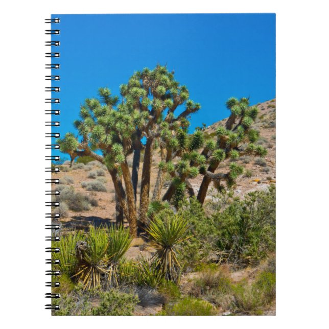 Cuaderno Monumento nacional a la mantequilla de oro (Frente)