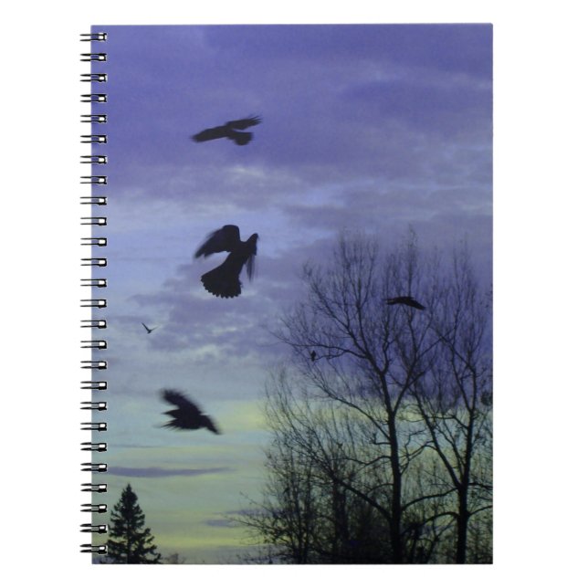 Cuaderno Moody Blue Crows Sky (Frente)