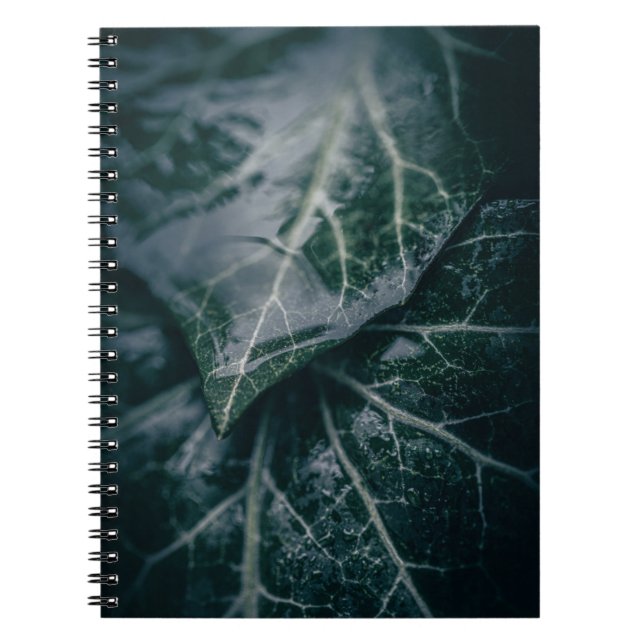 Cuaderno Moody Ivy Oscuro deja foto natural (Frente)