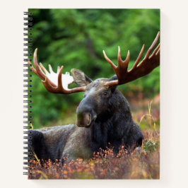 Cuaderno Moose