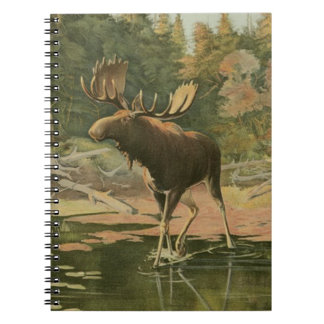Cuaderno Moose caminando en el agua (Frente)