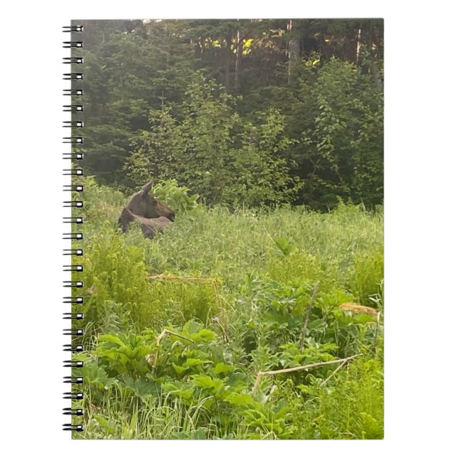 Cuaderno Moose in the Grass Notebook (Frente)
