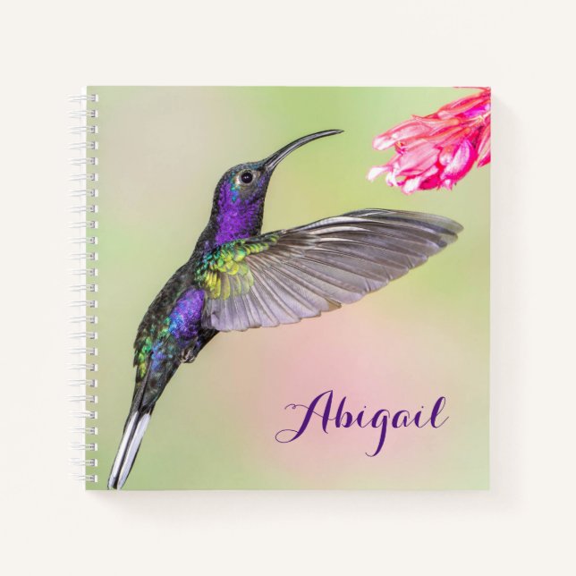Cuaderno Morado Colibrí Hermoso Personalizado (Anverso)