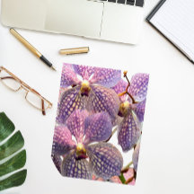 Morado Vanda Orchids Floral