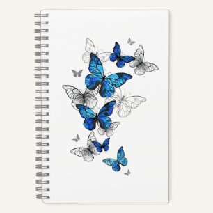 Cuaderno Morfo de las mariposas voladoras azules