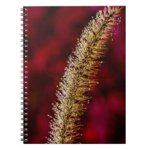 Cuaderno Morning Dew