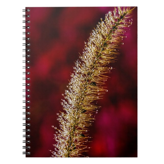 Cuaderno Morning Dew (Frente)