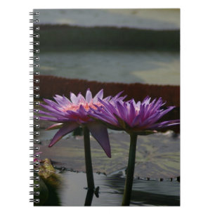 Cuaderno Morple Waterlilies Lotus Notebook