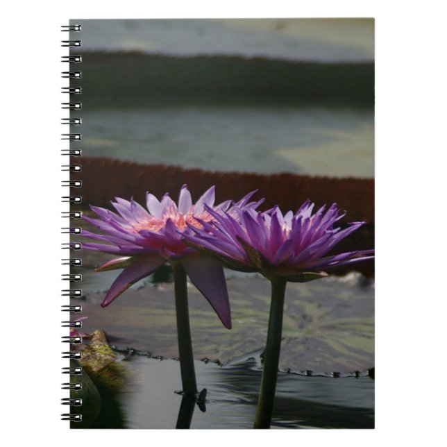 Cuaderno Morple Waterlilies Lotus Notebook (Frente)