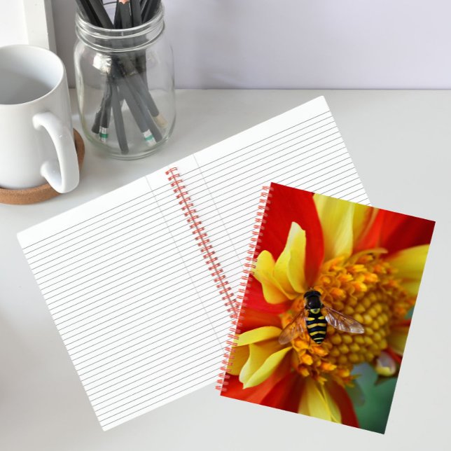 Cuaderno Mosca Volante sobre Dahlia Naranja y Amarilla (In Situ)
