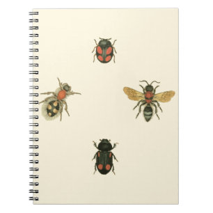Cuaderno Moscas y escarabajos por Vision Studio