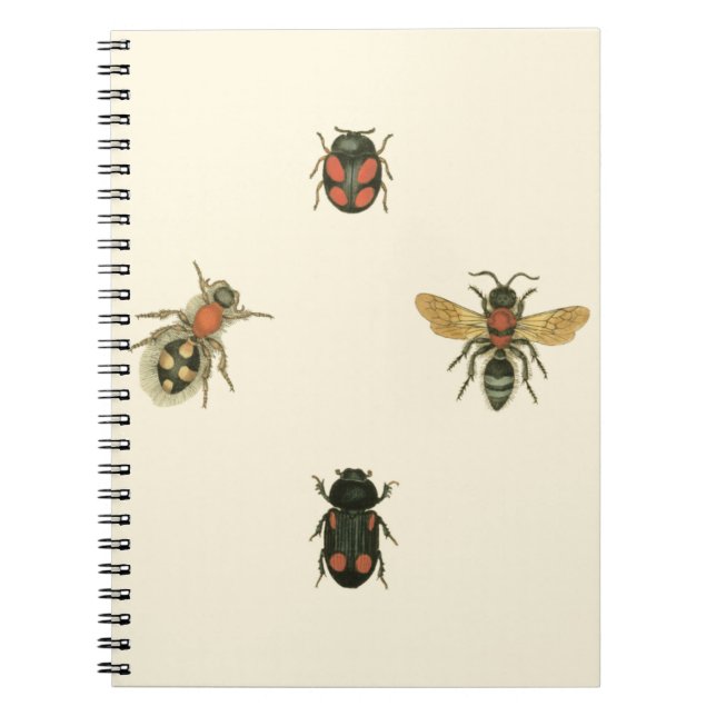 Cuaderno Moscas y escarabajos por Vision Studio (Frente)