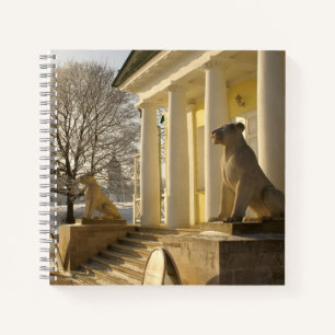 Cuaderno Moscú. Escultura de león en invierno.
