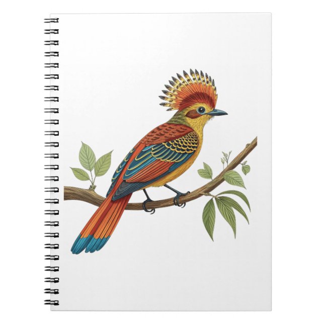 Cuaderno Mosquero Real Amazónico (Frente)