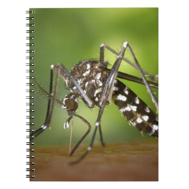 Cuaderno Mosquito tigre (Frente)