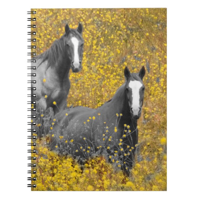 Cuaderno Mostaza y caballos (Frente)