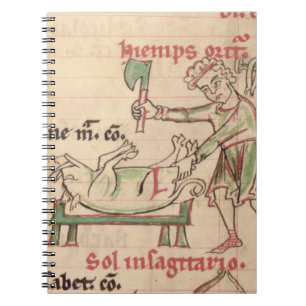 Cuaderno Ms 54. f.6r noviembre: Matando al cerdo, de un