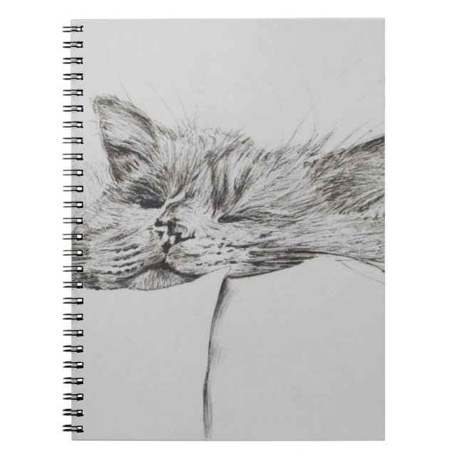 Cuaderno Muchacho soñoliento de Monty (Frente)