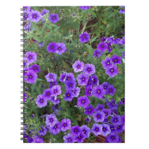 Cuaderno Muchas flores de phiox morado oscuro