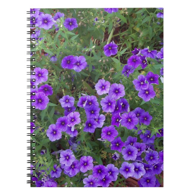 Cuaderno Muchas flores de phiox morado oscuro (Frente)