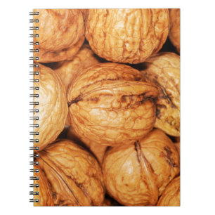 Cuaderno Muchas nueces en conchas