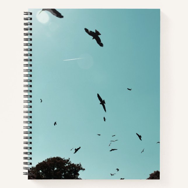 Cuaderno Muchos pájaros y un contrapeso (Anverso)