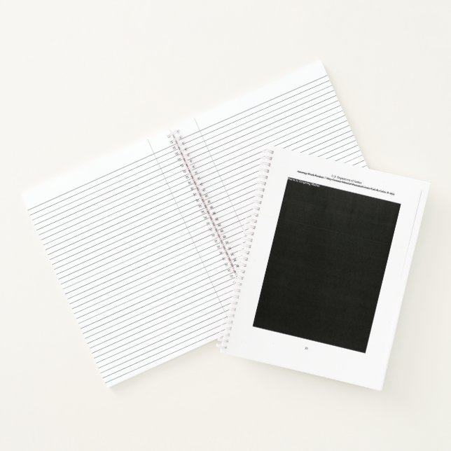 Cuaderno Mueller Report Redacted Page 30 HOM (Interior)