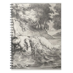 Cuaderno Muerte de Ofelia