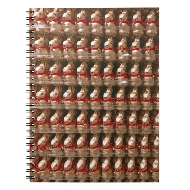 Cuaderno Muerto figurio de conejo (Frente)