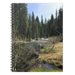 Cuaderno Muir Creek, Oregón
