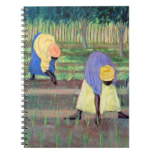 Cuaderno Mujeres que cultivan un huerto 2005