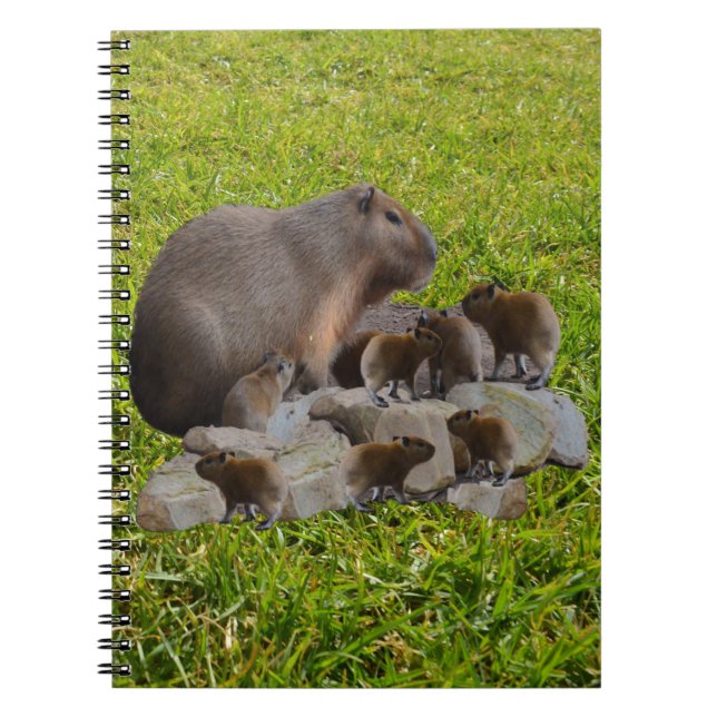 Cuaderno Mummy de Capibara con bebés, portátil (Frente)