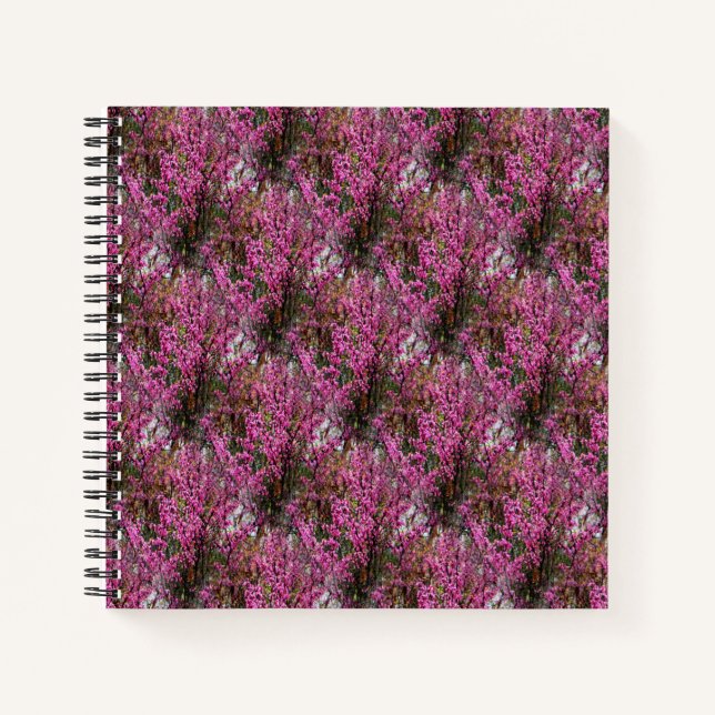 Cuaderno Muro de los Ojos Rojos..... (Anverso)