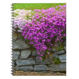 Cuaderno Muro de piedra y portátil Phlox