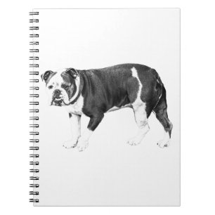 Cuaderno Musa Bulldog, Inspiración Suave