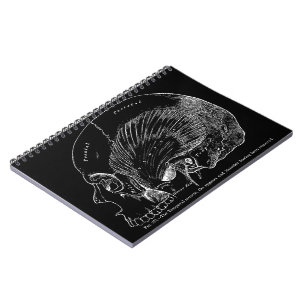 Cuaderno Músculo temporal humano del dibujo médico del