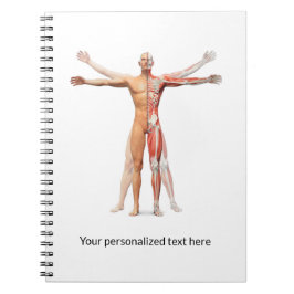 Cuaderno Músculos del esqueleto del cuerpo humano médico - 