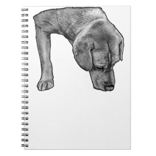 Cuaderno Muse Dotado Para Notas