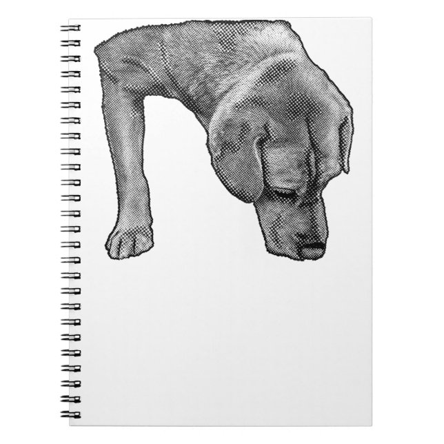 Cuaderno Muse Dotado Para Notas (Frente)