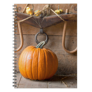 Cuaderno Museo de los Granjeros. Calabaza en granero con fa