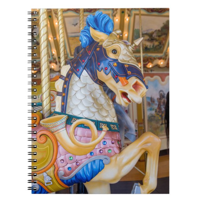 Cuaderno Museo Público de los Grandes Rapidos (Frente)