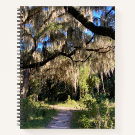 Cuaderno Musgo español iluminado por el sol