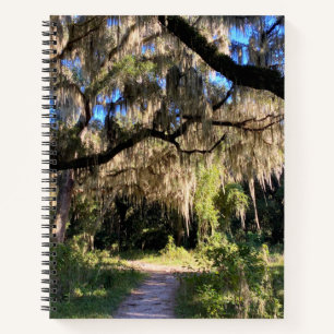 Cuaderno Musgo español iluminado por el sol